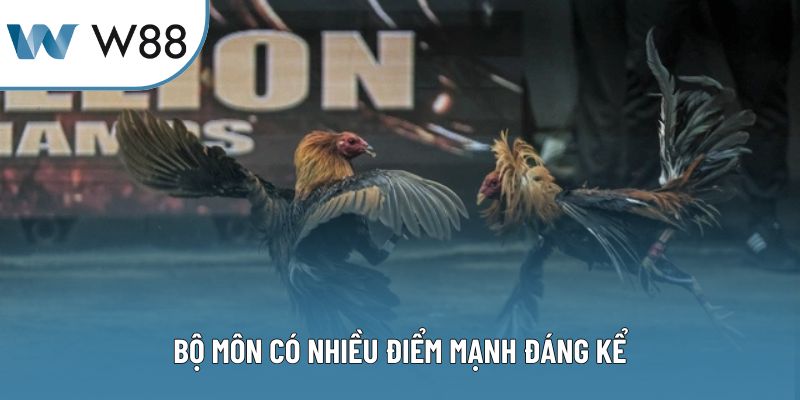 Bộ môn có nhiều điểm mạnh đáng kể