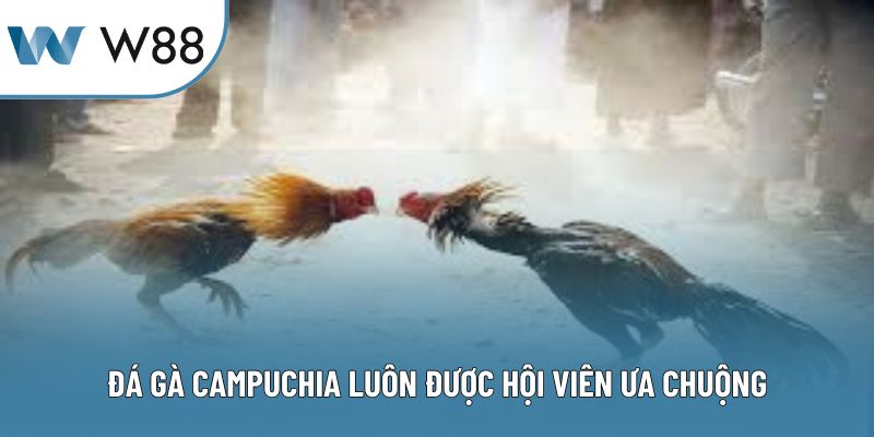 Đá gà Campuchia luôn được hội viên ưa chuộng