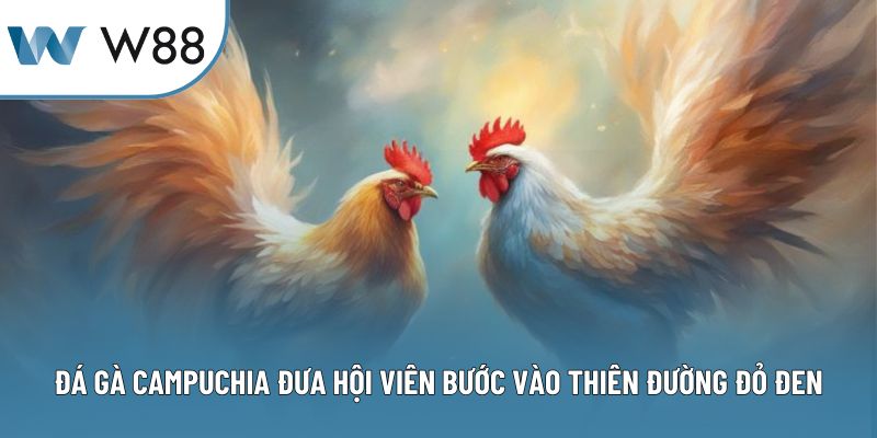 Đá Gà Campuchia: Bước Vào Thiên Đường Chọi Kê Đỉnh Cao