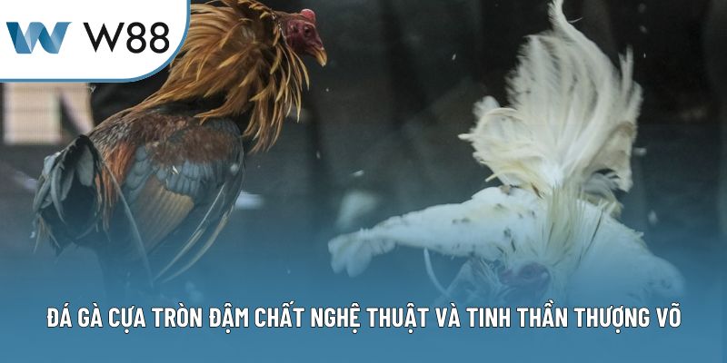 Đá Gà Cựa Tròn Đậm Chất Nghệ Thuật Tinh Thần Thượng Võ