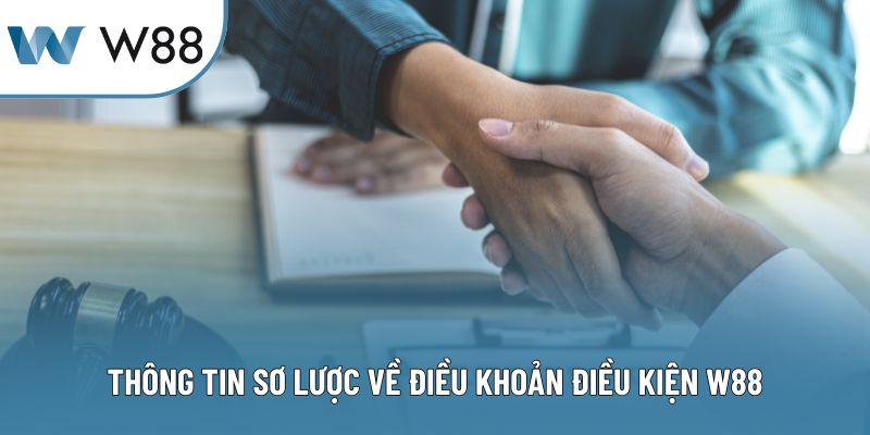 Thông tin sơ lược về điều khoản điều kiện W88
