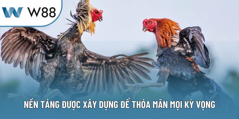 Nền tảng được xây dựng để thỏa mãn mọi kỳ vọng