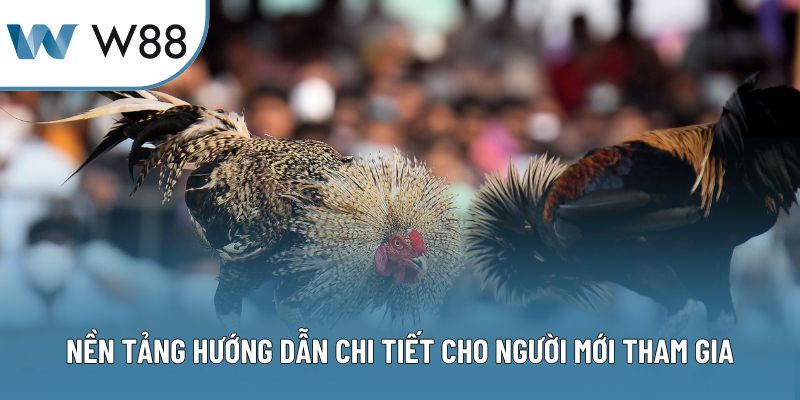 Nền tảng hướng dẫn chi tiết cho người mới tham gia