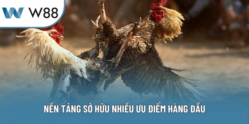 Nền tảng sở hữu nhiều ưu điểm hàng đầu
