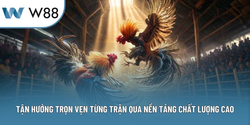 Tận hưởng trọn vẹn từng trận qua nền tảng chất lượng cao