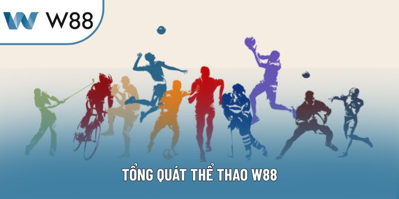 Tổng quát thể thao W88