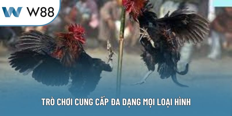 Trò chơi cung cấp đa dạng mọi loại hình